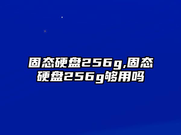 固態硬盤256g,固態硬盤256g夠用嗎