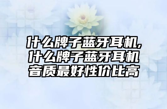 什么牌子藍牙耳機,什么牌子藍牙耳機音質最好性價比高