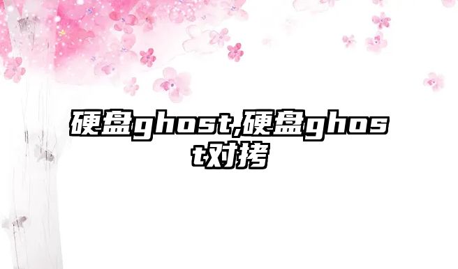 硬盤ghost,硬盤ghost對拷