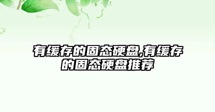 有緩存的固態硬盤,有緩存的固態硬盤推薦