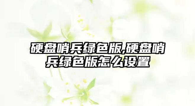 硬盤哨兵綠色版,硬盤哨兵綠色版怎么設置