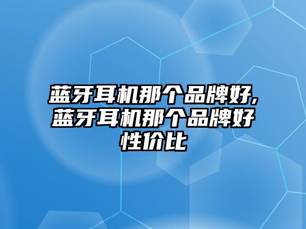 藍(lán)牙耳機(jī)那個(gè)品牌好,藍(lán)牙耳機(jī)那個(gè)品牌好性價(jià)比