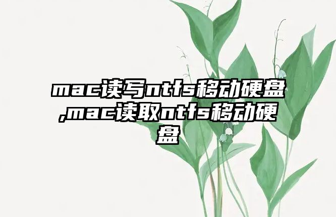 mac讀寫ntfs移動硬盤,mac讀取ntfs移動硬盤