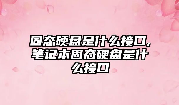 固態硬盤是什么接口,筆記本固態硬盤是什么接口