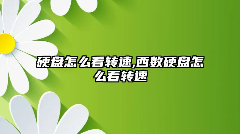 硬盤怎么看轉(zhuǎn)速,西數(shù)硬盤怎么看轉(zhuǎn)速